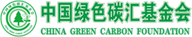 宫七SPA