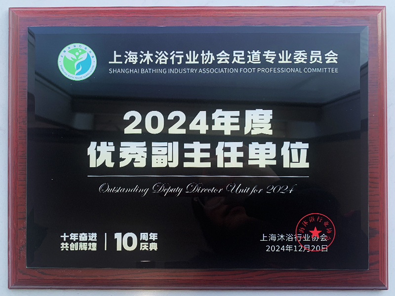 2024年度优秀副主任单位 2024年度优秀副主任单位